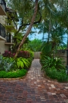 Casa Caselles Garden Walkway